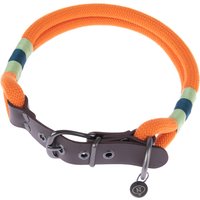 Collar Nomad Tales Spirit mandarina para perros - S: 36 - 40 cm contorno de cuello, 30 mm (An)
Collar Nomad Tales Spirit mandarina para perros - S: 36 - 40 cm contorno de cuello, 30 mm (An)