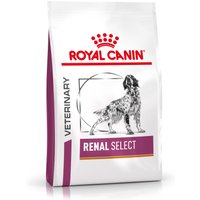 Royal Canin Veterinary Canine Renal Select pienso para perros - Pack % - 2 x 10 kg
Royal Canin Veterinary Canine Renal Select pienso para perros - Pack % - 2 x 10 kg