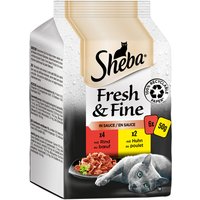 Multipack Fresh & Fine de Sheba 6 x 50 g - Colección refinada en salsa
Multipack Fresh & Fine de Sheba 6 x 50 g - Colección refinada en salsa
