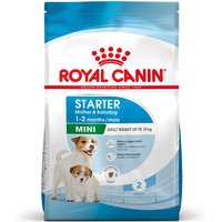 Royal Canin Mini Starter - 8 kg
Royal Canin Mini Starter - 8 kg