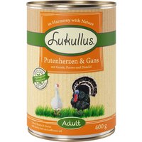 Lukullus con corazón de pavo y ganso - 6 x 400 g
Lukullus con corazón de pavo y ganso - 6 x 400 g