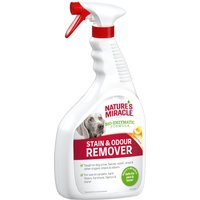 Nature's Miracle spray quitamanchas y quitaolores para perros - 946 ml
Nature's Miracle spray quitamanchas y quitaolores para perros - 946 ml