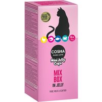 Cosma Mini Jelly Cups 24 x 25 g snack para gatos - Pack Ahorro - Pack mixto
Cosma Mini Jelly Cups 24 x 25 g snack para gatos - Pack Ahorro - Pack mixto