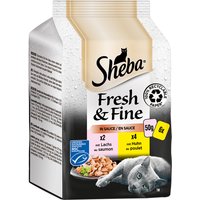 Multipack Fresh & Fine de Sheba 6 x 50 g - Pack mixto: salmón y pollo en salsa
Multipack Fresh & Fine de Sheba 6 x 50 g - Pack mixto: salmón y pollo en salsa