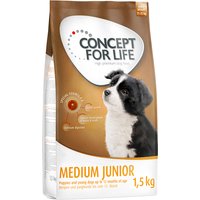 Concept for Life Medium Junior - 4 x 1,5 kg
Concept for Life Medium Junior - 4 x 1,5 kg