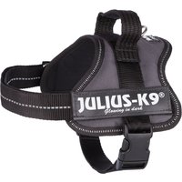 Arnés JULIUS-K9® Power antracita para perros - Talla Mini
Arnés JULIUS-K9® Power antracita para perros - Talla Mini