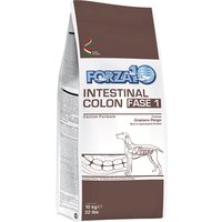 Forza10 Active Line Intestinal Colon Fase 1 para perros - 2 x 10 kg
Forza10 Active Line Intestinal Colon Fase 1 para perros - 2 x 10 kg