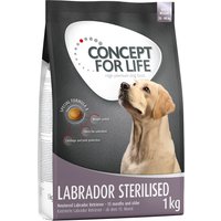 Concept for Life Labrador Sterilised - 4 x 1 kg
Concept for Life Labrador Sterilised - 4 x 1 kg