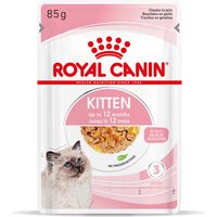 Royal Canin Kitten Instinctive en gelatina - Megapack % - 48 x 85 g
Royal Canin Kitten Instinctive en gelatina - Megapack % - 48 x 85 g
