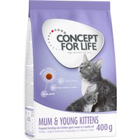 Concept for Life Mum & Young Kittens pienso para gatos - 400 g
Concept for Life Mum & Young Kittens pienso para gatos - 400 g