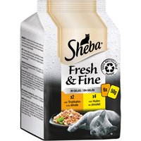 Sheba Fresh & Fine 12 x 50 g - Pack Ahorro - Pavo y pollo en gelatina
Sheba Fresh & Fine 12 x 50 g - Pack Ahorro - Pavo y pollo en gelatina