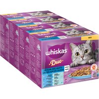 WHISKAS DUO Jumbopack 96 x 85 g en bolsitas - Delicias del océano en gelatina
WHISKAS DUO Jumbopack 96 x 85 g en bolsitas - Delicias del océano en gelatina