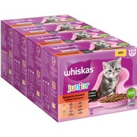 Whiskas Junior 2-12 meses 96 x 85 g en bolsitas - Selección clásica en salsa - 96 x 85 g
Whiskas Junior 2-12 meses 96 x 85 g en bolsitas - Selección clásica en salsa - 96 x 85 g