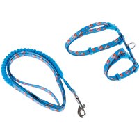 TIAKI Arnés para gatos con correa espina de pez - Azul
TIAKI Arnés para gatos con correa espina de pez - Azul