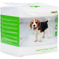 Empapadores para cachorros - M: 45 x 30 cm (L x An), 30 unidades
Empapadores para cachorros - M: 45 x 30 cm (L x An), 30 unidades