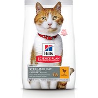 Hill's Adult Sterilised Cat con pollo para gatos - 1,5 kg
Hill's Adult Sterilised Cat con pollo para gatos - 1,5 kg