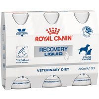 Royal Canin Veterinary Recovery Liquid para perros y gatos - 6 x 200 ml
Royal Canin Veterinary Recovery Liquid para perros y gatos - 6 x 200 ml