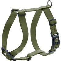 Arnés HUNTER London Vario Rapid verde oliva para perros - S: 41-70 cm de perímentro del abdomen
Arnés HUNTER London Vario Rapid verde oliva para perros - S: 41-70 cm de perímentro del abdomen