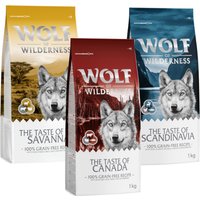 Pack de prueba: Wolf of Wilderness The Taste Of 3 x 1 kg - Canada, Scandinavia, Mediterranean (3 x 1 kg)
Pack de prueba: Wolf of Wilderness The Taste Of 3 x 1 kg - Canada, Scandinavia, Mediterranean (3 x 1 kg)