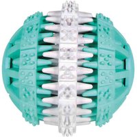 Trixie Denta Fun Ball pelota para perros - 6 cm de diámetro
Trixie Denta Fun Ball pelota para perros - 6 cm de diámetro