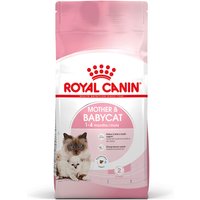 Royal Canin Mother & Babycat - Pack % - 2 x 10 kg
Royal Canin Mother & Babycat - Pack % - 2 x 10 kg