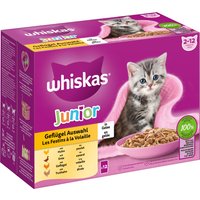 Whiskas Junior 12 x 85/100 g en bolsitas - Selección de ave en gelatina - 12 x 85 g
Whiskas Junior 12 x 85/100 g en bolsitas - Selección de ave en gelatina - 12 x 85 g