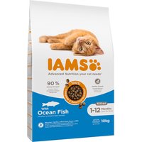 IAMS Advanced Nutrition Kitten con pescado de mar - 10 kg
IAMS Advanced Nutrition Kitten con pescado de mar - 10 kg