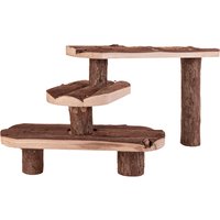 Escaleras para roedores - 38 x 22,5 cm
Escaleras para roedores - 38 x 22,5 cm