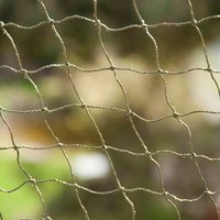 Red reforzada Cat Safety Net para gatos - S: 2 x 1,5 m
Red reforzada Cat Safety Net para gatos - S: 2 x 1,5 m