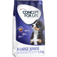Concept for Life X-Large Junior - 1,5 kg
Concept for Life X-Large Junior - 1,5 kg