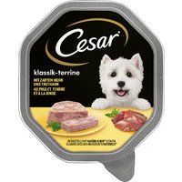 Cesar en tarrinas 28 x 150 g - Clásicos con pollo y pavo
Cesar en tarrinas 28 x 150 g - Clásicos con pollo y pavo
