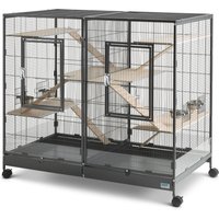 Savic Tasmania 120 para roedores - 120 x 65 x 107 cm (L x An x Al)
Savic Tasmania 120 para roedores - 120 x 65 x 107 cm (L x An x Al)