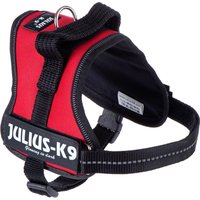 Arnés JULIUS-K9® Power rojo para perros - Talla Mini
Arnés JULIUS-K9® Power rojo para perros - Talla Mini