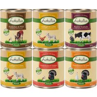 Oferta de prueba Lukullus sin cereales - 6 x 800 g (5 variedades)
Oferta de prueba Lukullus sin cereales - 6 x 800 g (5 variedades)