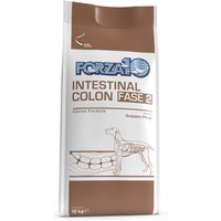 Forza 10 Active Line Intestinal Colon Fase 2 - 2 x 10 kg 
Forza 10 Active Line Intestinal Colon Fase 2 - 2 x 10 kg