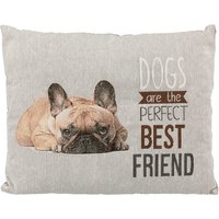 Cojín Trixie Chipo para perros - 60 x 48 cm (L x An)
Cojín Trixie Chipo para perros - 60 x 48 cm (L x An)