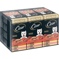 Cesar en tarrinas 24 x 150 g - Megapack - Clásicos
Cesar en tarrinas 24 x 150 g - Megapack - Clásicos