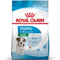 Royal Canin Mini Puppy / Junior - 4 kg
Royal Canin Mini Puppy / Junior - 4 kg