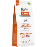 Brit Care Hypoallergenic Adult razas medianas con cordero y arroz - 12 kg
Brit Care Hypoallergenic Adult razas medianas con cordero y arroz - 12 kg