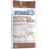 Forza 10 Active Line Intestinal Colon Fase 2 - 4 kg
Forza 10 Active Line Intestinal Colon Fase 2 - 4 kg