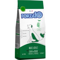 Forza10 Maintenance Maxi con caza y patata - 12,5 kg
Forza10 Maintenance Maxi con caza y patata - 12,5 kg