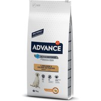 Advance Labrador Adult - Pack % - 2 x 12 kg
Advance Labrador Adult - Pack % - 2 x 12 kg