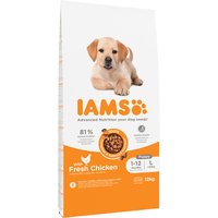 IAMS for Vitality Puppy & Junior Large con pollo fresco - 12 kg 
IAMS for Vitality Puppy & Junior Large con pollo fresco - 12 kg