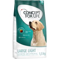 Concept for Life Large Light - 4 x 1,5 kg
Concept for Life Large Light - 4 x 1,5 kg