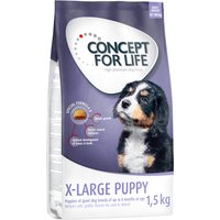 PROMO: Concept for Life 3 x 1 / 1,5 kg pienso para perros: 2 + 1 ¡gratis! - 3 x 1,5 kg X-Large Puppy
PROMO: Concept for Life 3 x 1 / 1,5 kg pienso para perros: 2 + 1 ¡gratis! - 3 x 1,5 kg X-Large Puppy