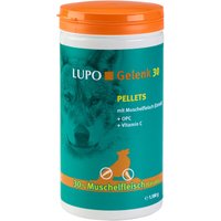 Luposan Gelenk 30 condroprotector granulado - 1100 g
Luposan Gelenk 30 condroprotector granulado - 1100 g