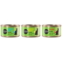 Cosma Original en gelatina 36 x 85 g - Pack mixto: 4 variedades
Cosma Original en gelatina 36 x 85 g - Pack mixto: 4 variedades