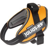 Arnés JULIUS-K9 IDC® POWAIR naranja para perros - Talla Mini
Arnés JULIUS-K9 IDC® POWAIR naranja para perros - Talla Mini