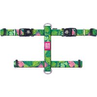 Arnés Max & Molly Tropical para perros - Talla M: 53-69 cm de pecho
Arnés Max & Molly Tropical para perros - Talla M: 53-69 cm de pecho