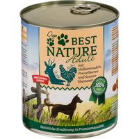 Best Nature Dog Adult 12 x 800 g - Pack Ahorro - Caza, pollo y pasta
Best Nature Dog Adult 12 x 800 g - Pack Ahorro - Caza, pollo y pasta